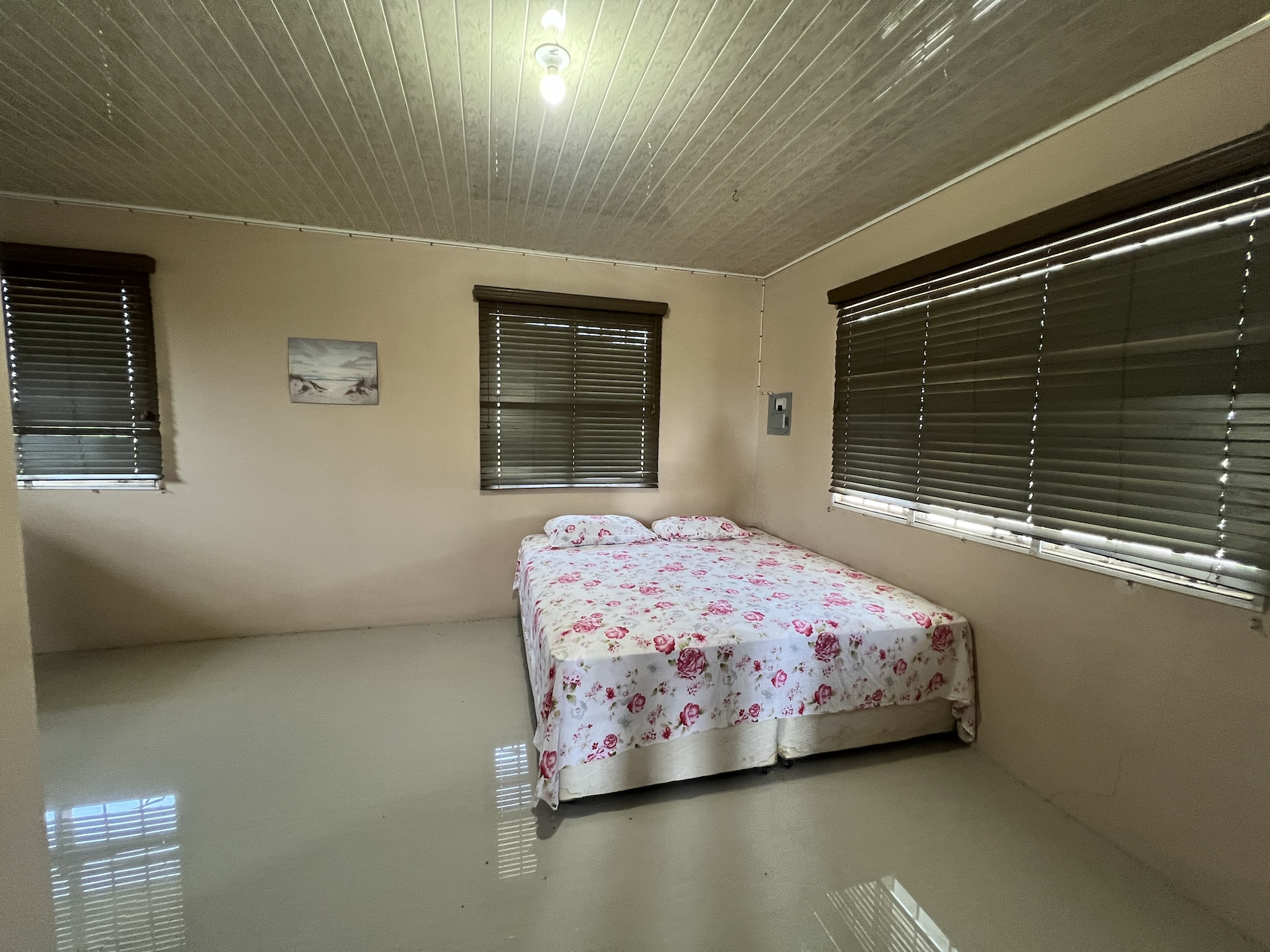 13 Trinidad Couva Roystonia Oleander Circle 78