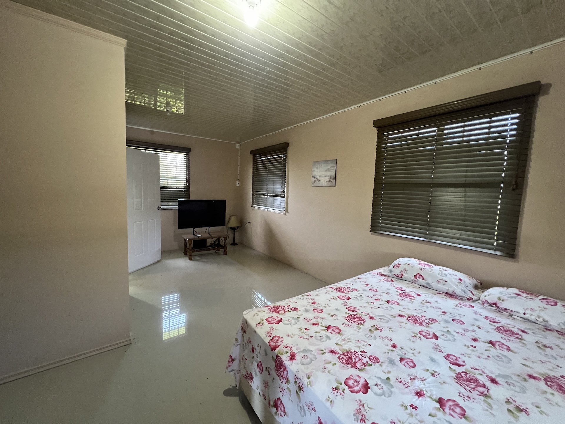 14 Trinidad Couva Roystonia Oleander Circle 78