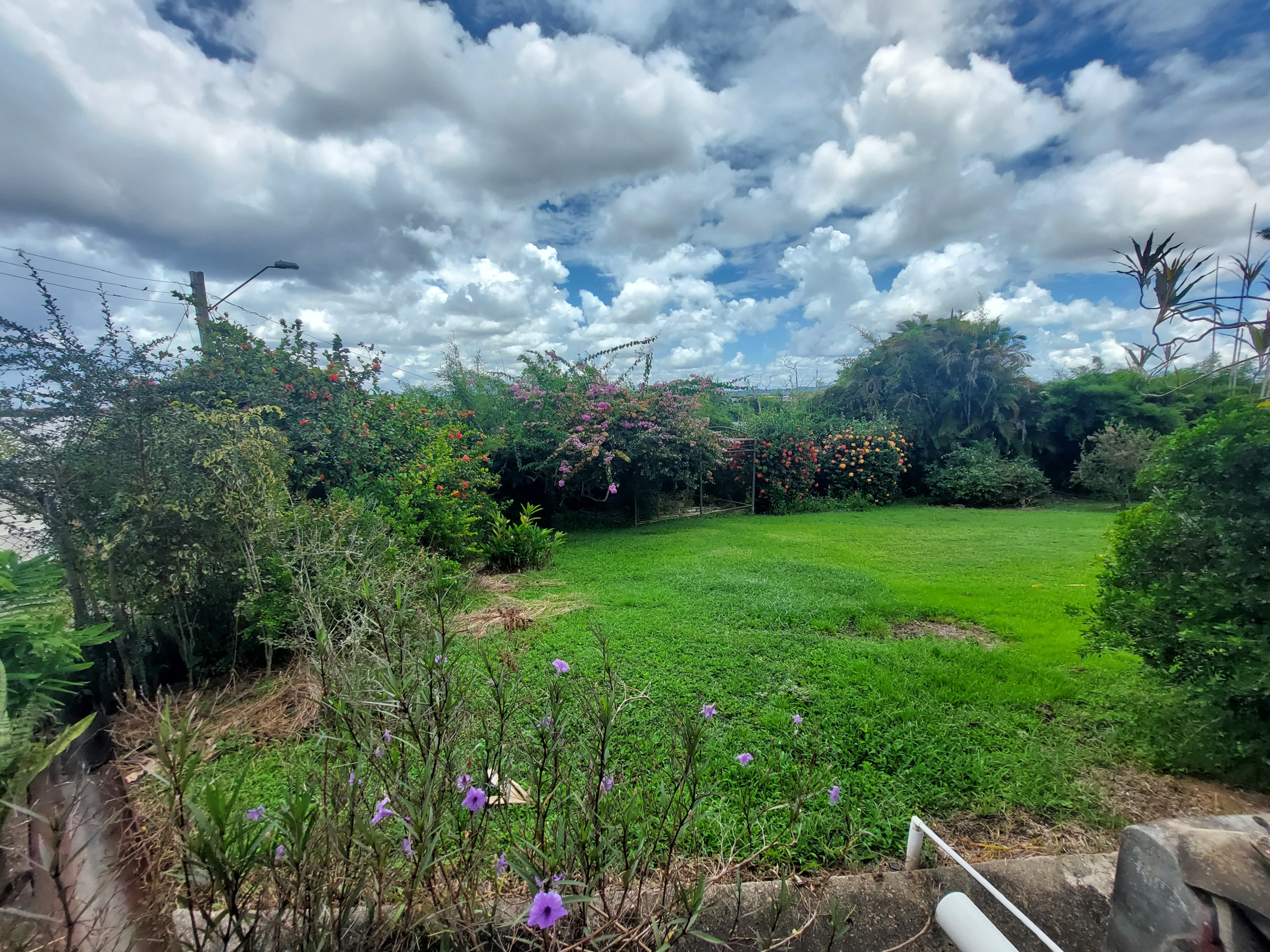 8 Trinidad Rostant Street 12