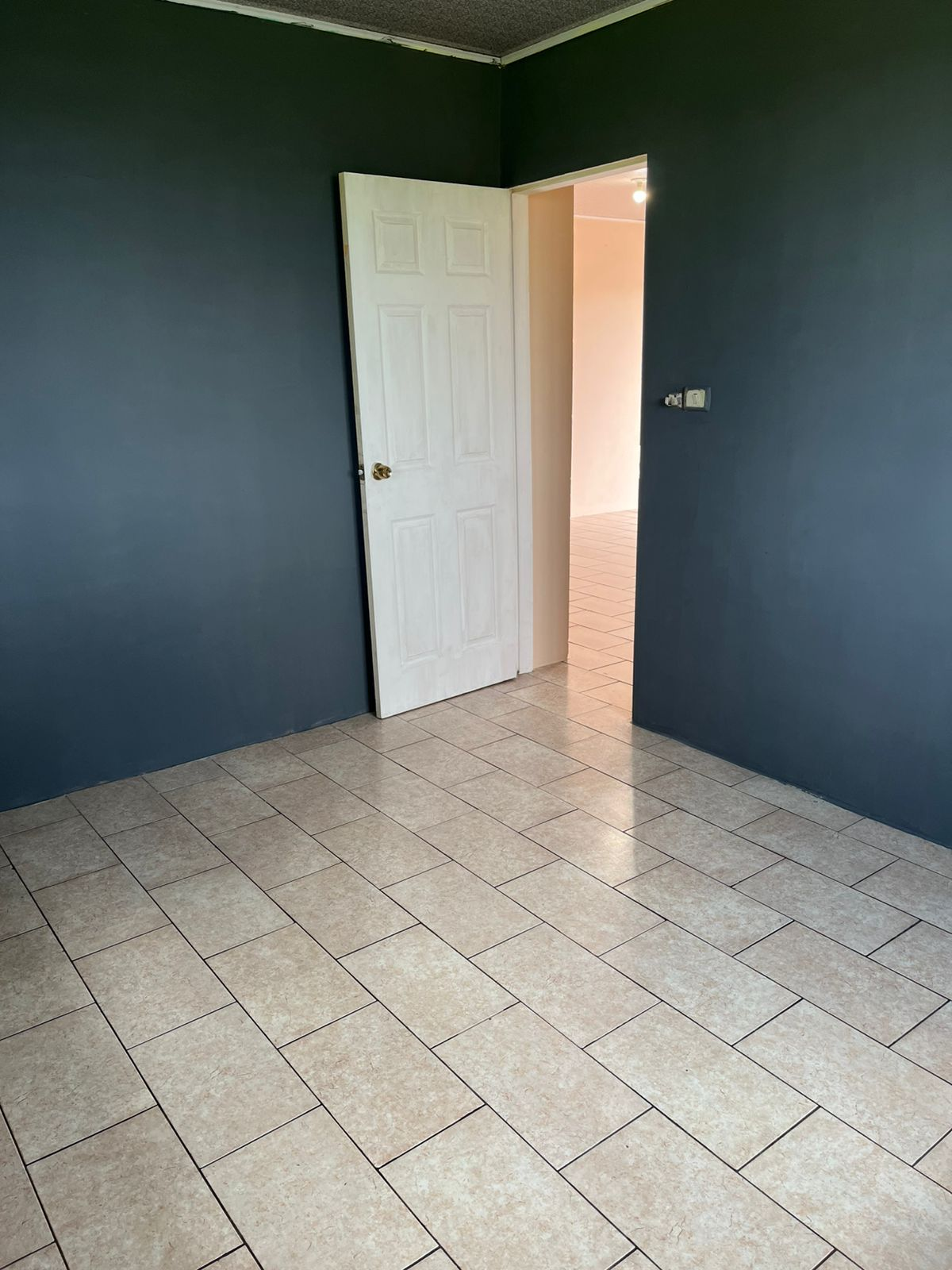 4 Trinidad Caroni Kay Street D