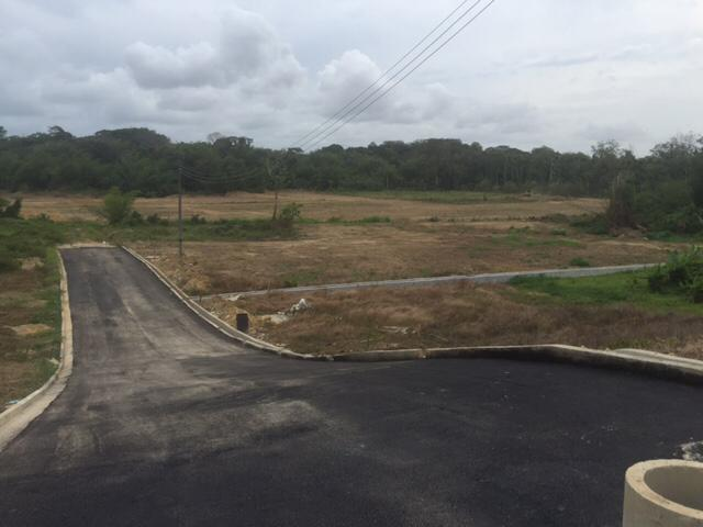 WhatsApp Image 2025-08-18 at 12.26.52 PM (2)