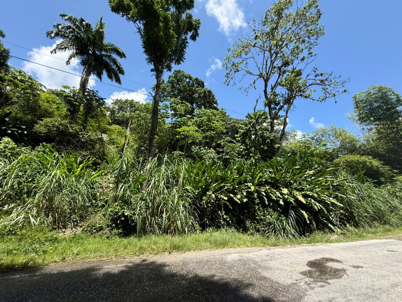 2 Arima, Blanchisseuse Main Road, Cor. Mt. Pleasant Road, Lots