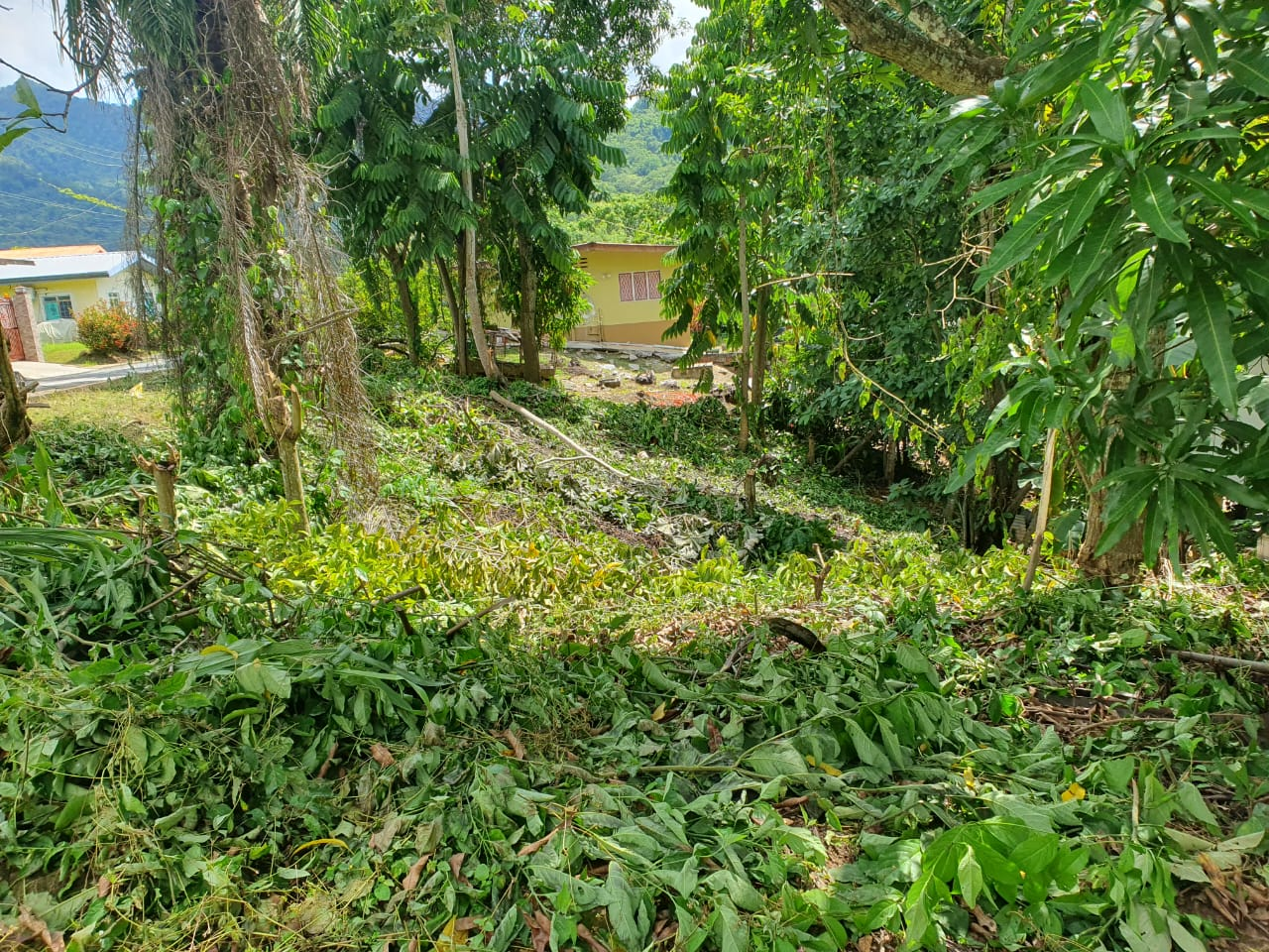 WhatsApp Image 2025-09-13 at 11.31.09 AM (1)