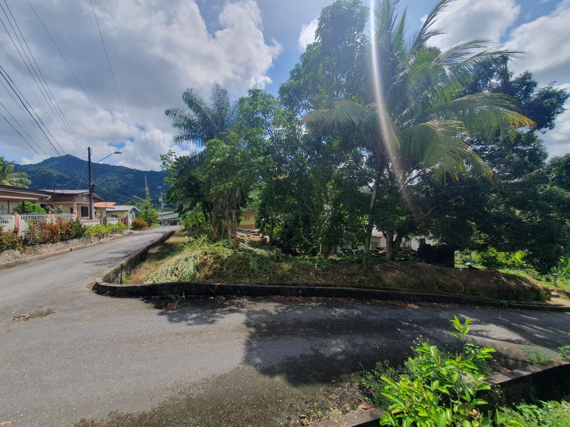 WhatsApp Image 2025-09-13 at 11.31.09 AM (3) – Edited