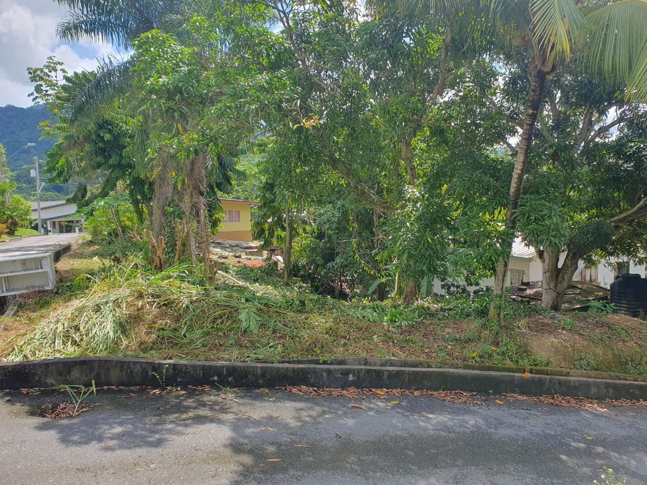 WhatsApp Image 2025-09-13 at 11.31.09 AM (4)