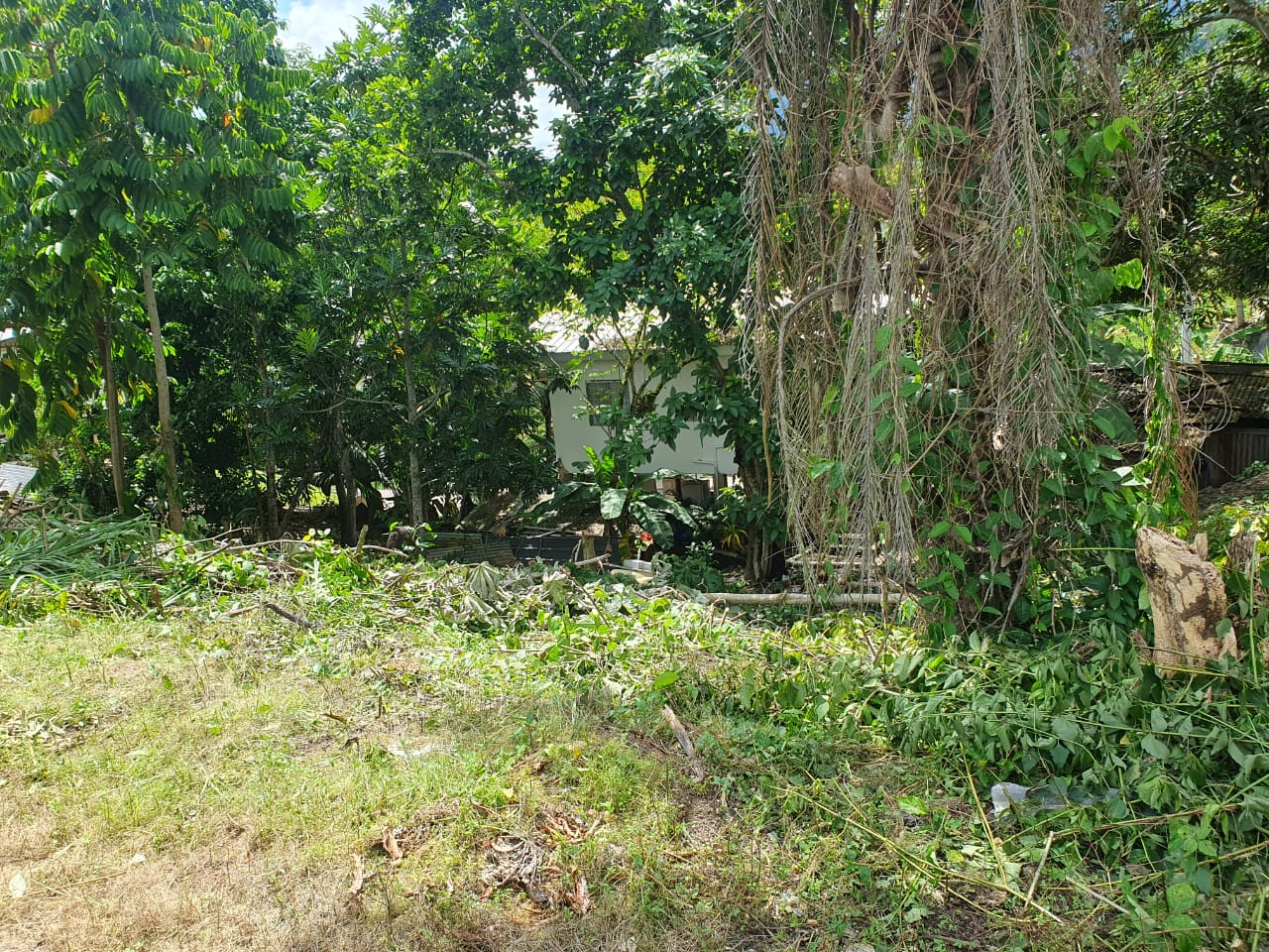 WhatsApp Image 2025-09-13 at 11.31.09 AM